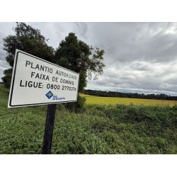 Plantio em faixa de domínio da Via Araucária amplia renda em comunidades rurais